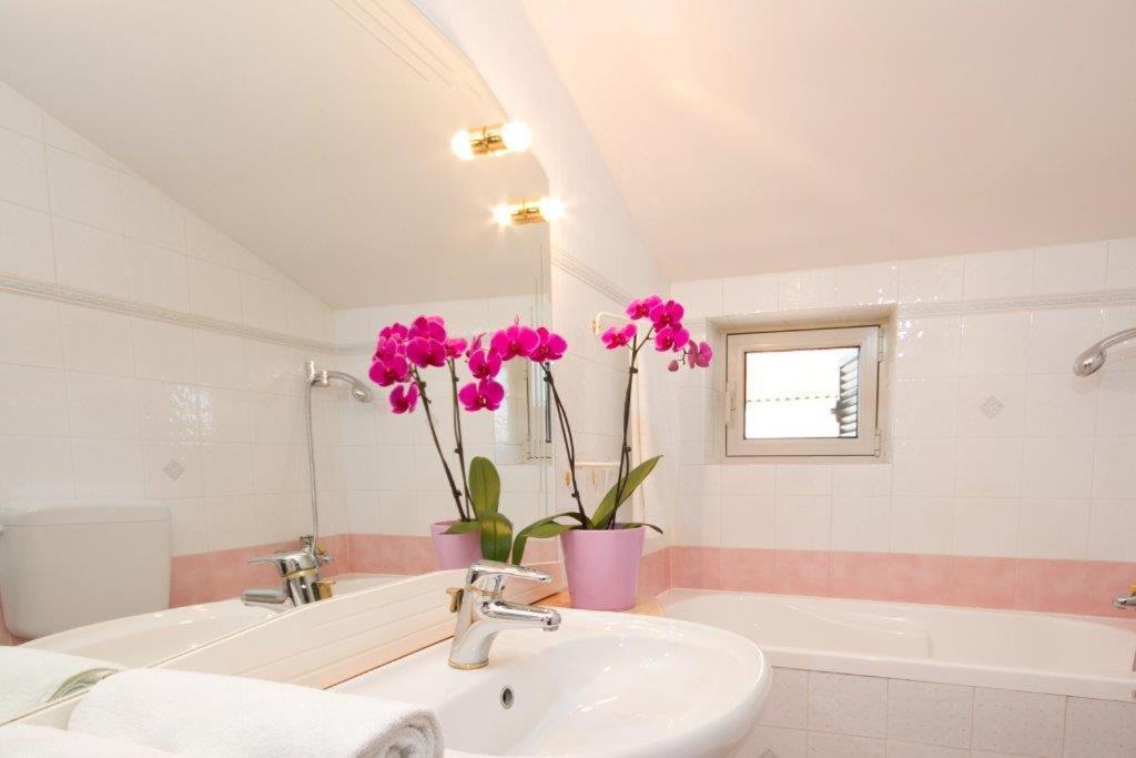Villa Sveta Eufemija Bed End Breakfast I Rovinj Ngoại thất bức ảnh